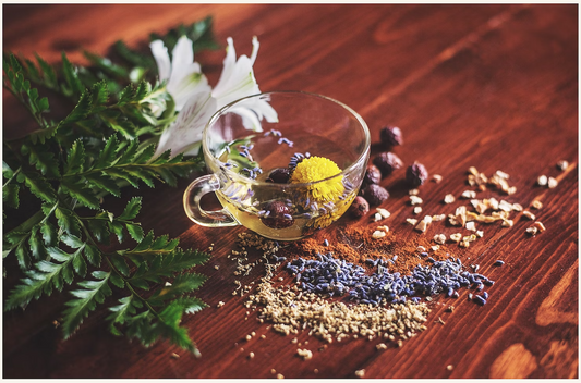 Medicinal Plants: Your Natural Remedies for Everyday Ailments