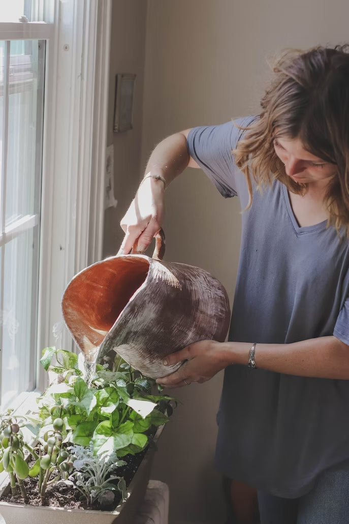 Indoor Plant Care Hacks: Green Thumb Secrets Unveiled