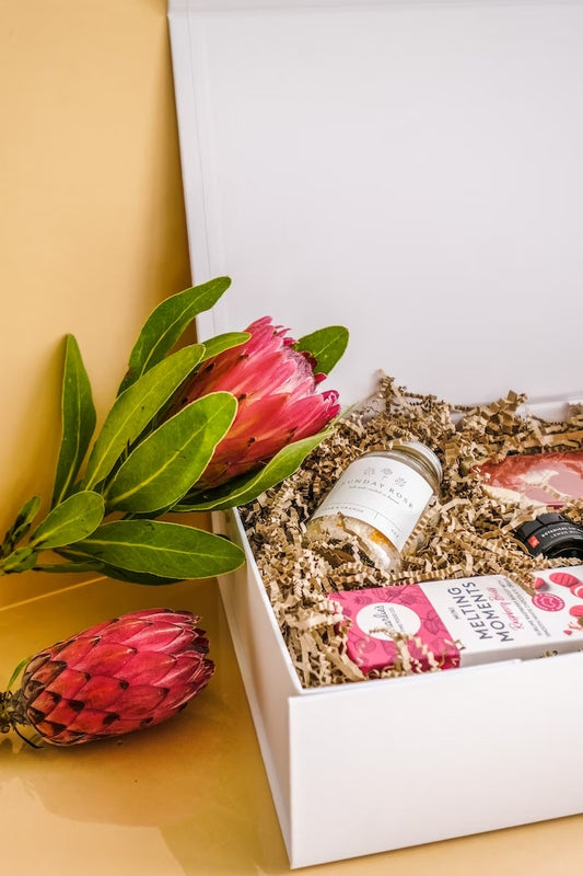 Gifting Plant Guide: Plants That Make the Perfect Presents